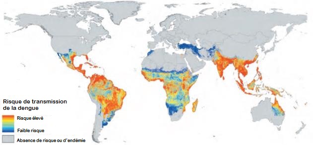 La Dengue Probl mes De Sant Les Soins Aux Enfants N o canadiens la-dengue-probl-mes-de-sant-les-soins-aux-enfants-n-o-canadiens